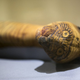 Illustration for article titled Many Ancient Egyptian Animal Mummies Aren't What They Appear To Be